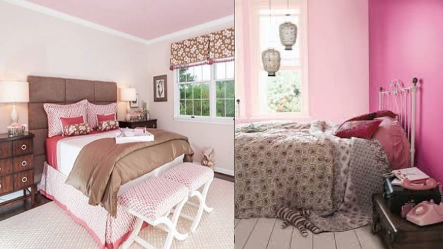 Exclusive Color Concepts