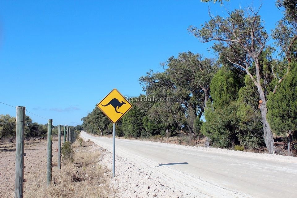 road (1)