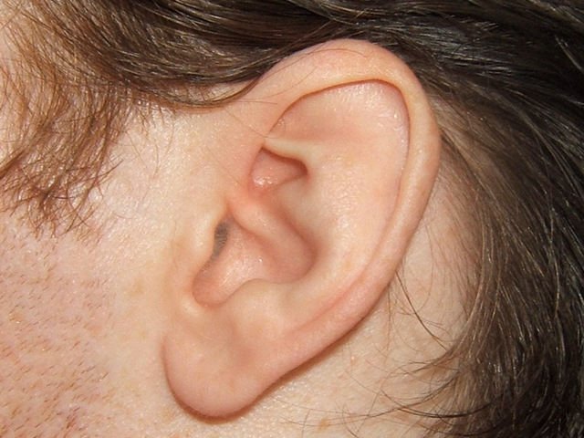 ear