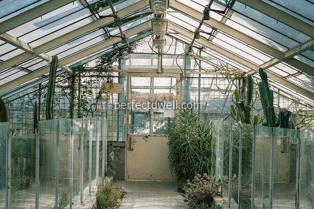 Indoor Garden
