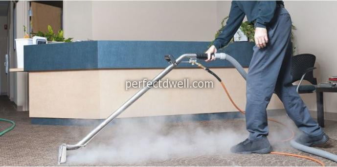 Professional Carpet Cleaning Service