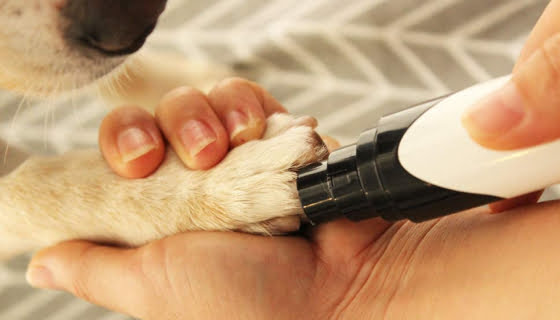 Dog Nail Grinder