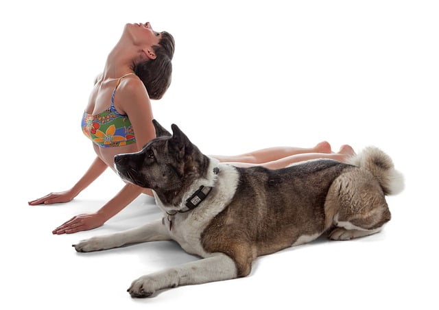 dog yoga